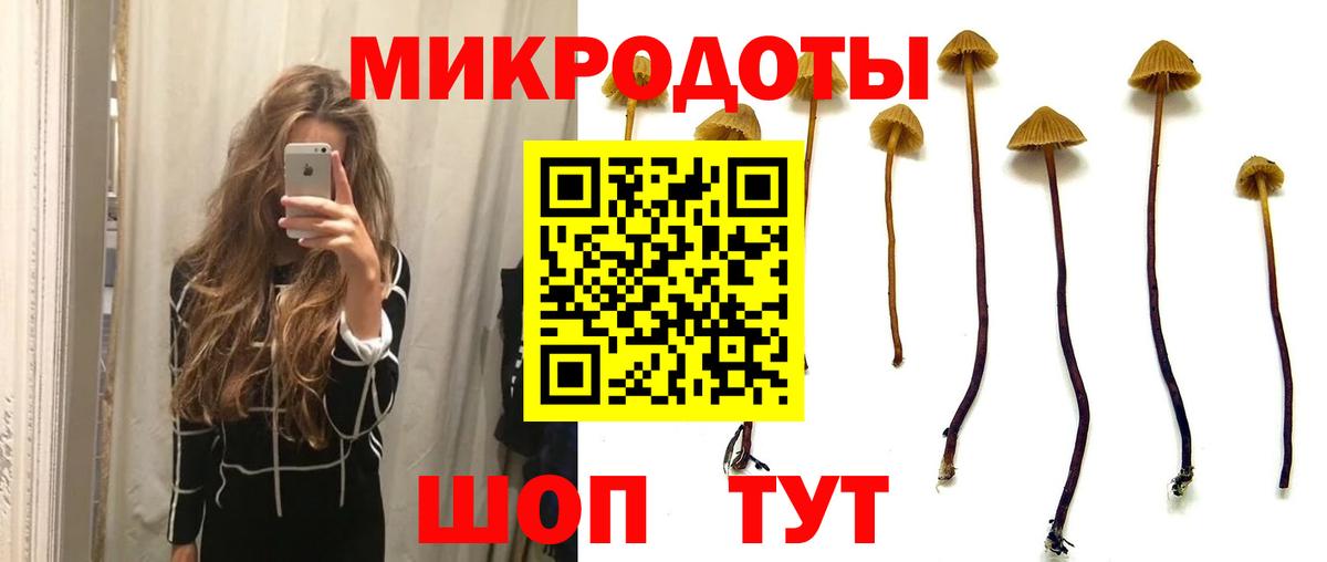 Саранск  Псилоцибиновые грибы Magic Shrooms  Вход с VPN 